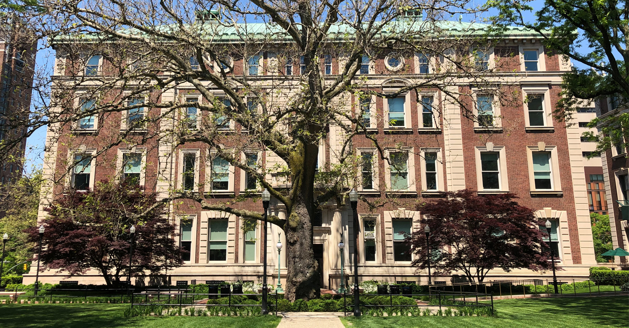 An exterior view of the Mathematics building, but a large sycamore tree in front of it without leaves and two japanese maples on either side of the sycamore tree