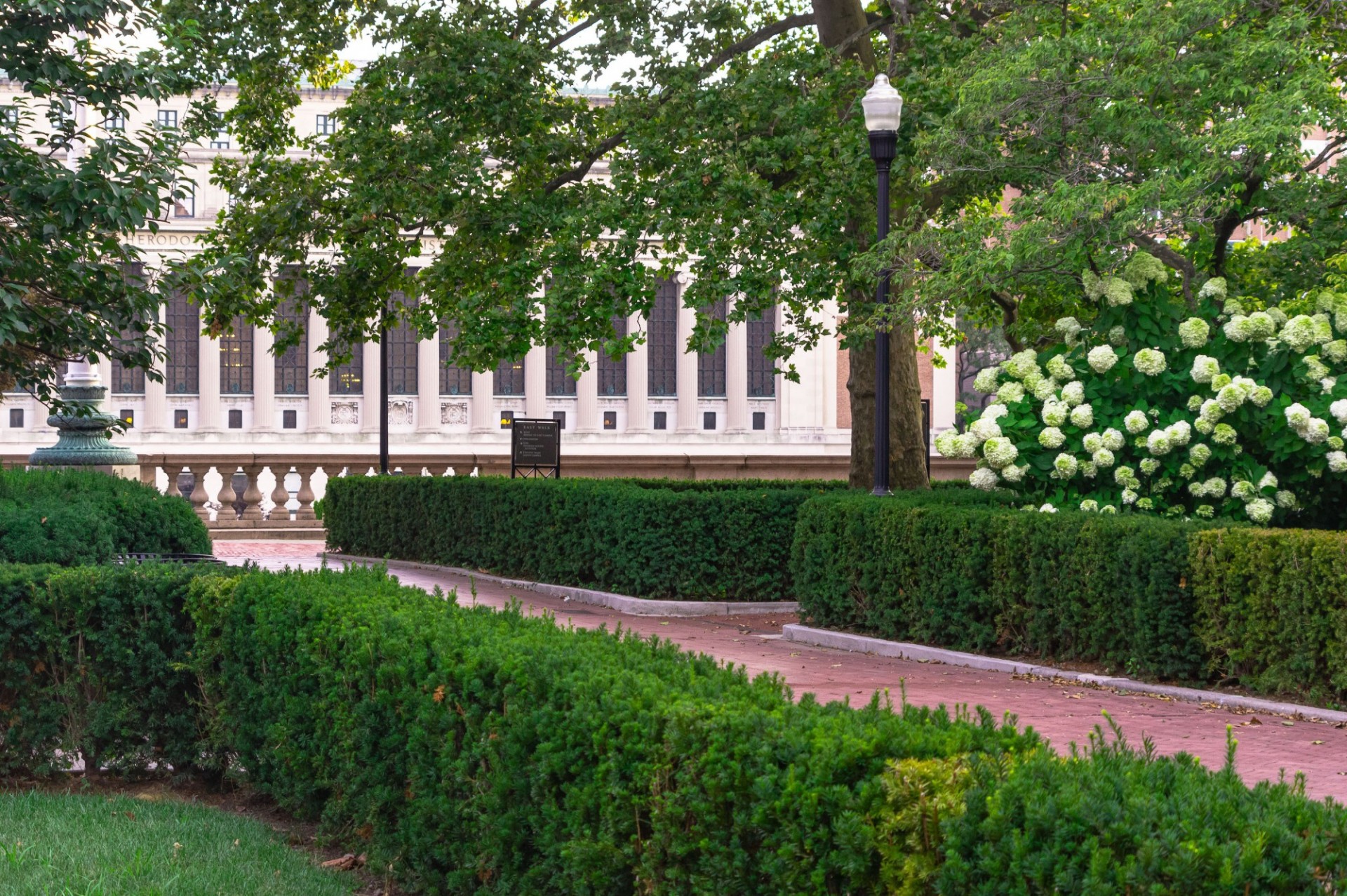 Image of shrubs and pathways on Columbia's upper campus.
