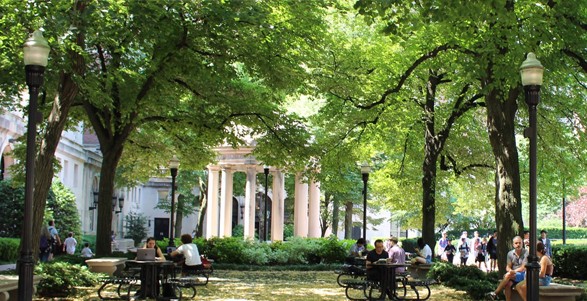 Green trees hang over Van Am Quad with people sitting at black tables 