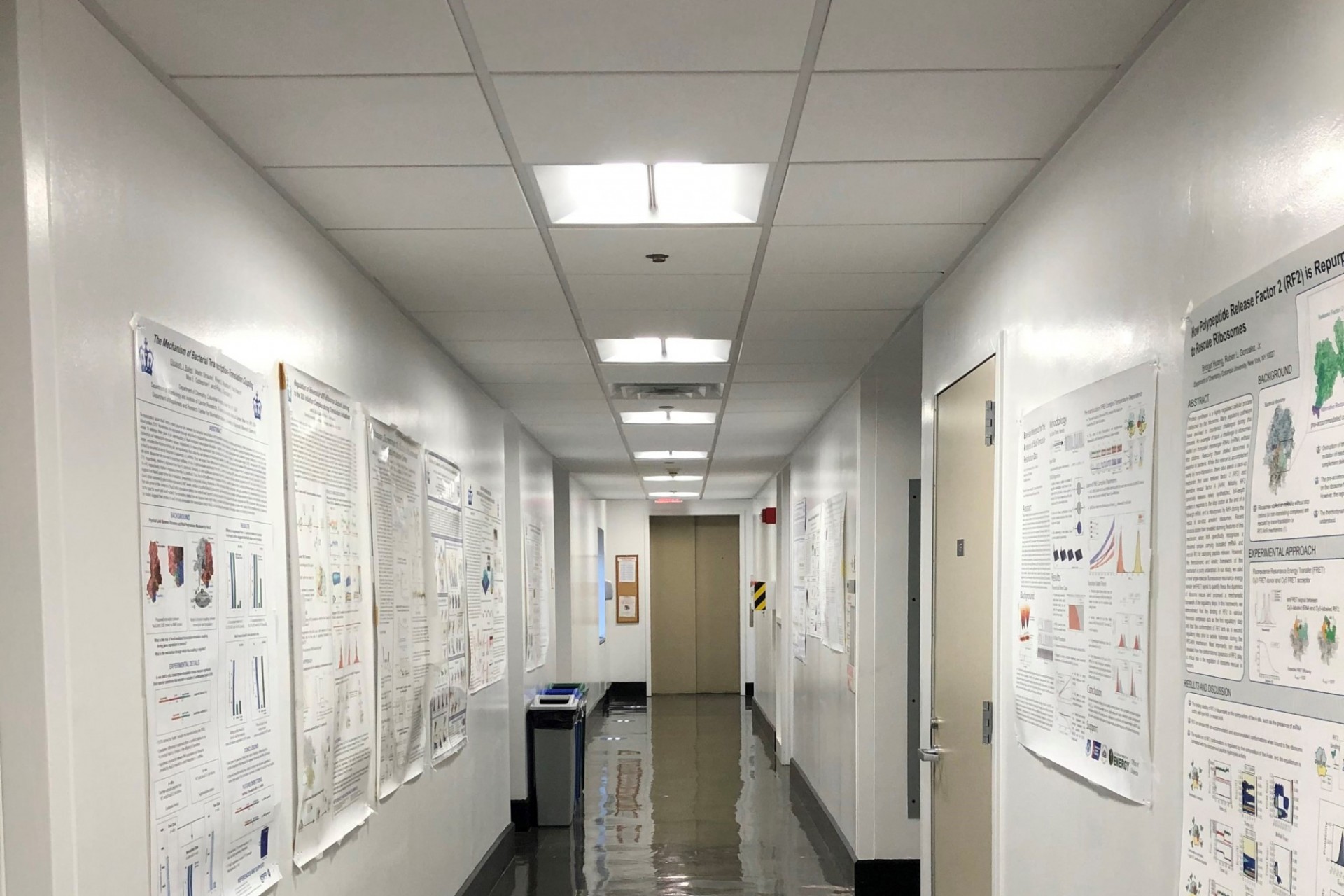 A hallway in Havemeyer hall that is painted white and has new LED lighting installed in the ceiling.