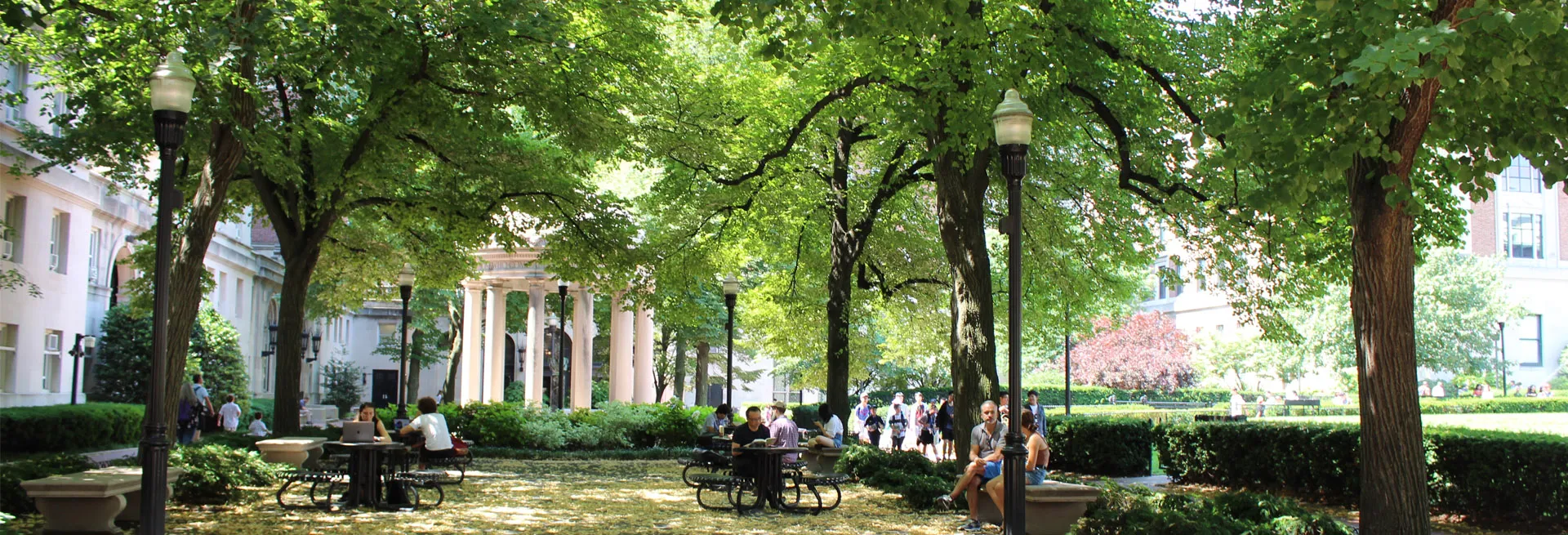 A view of Van Am Quad with green trees surrounding the perimeter and shrubs alongside the buildings and lawns
