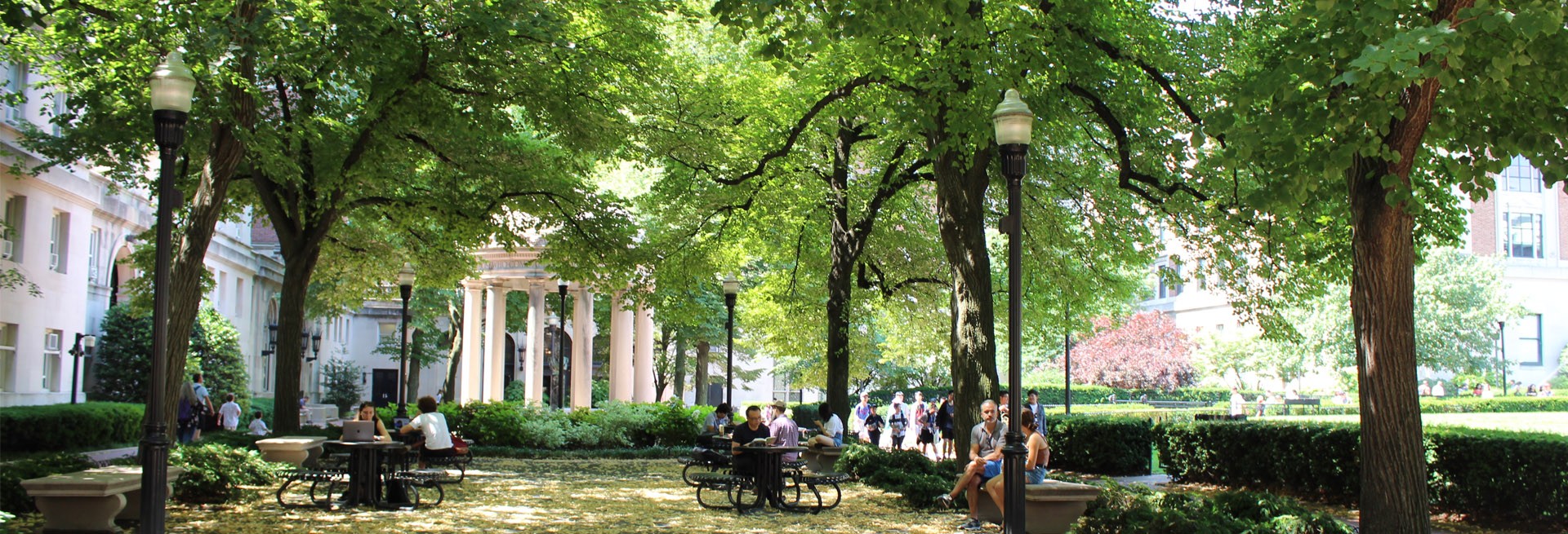A view of Van Am Quad with green trees surrounding the perimeter and shrubs alongside the buildings and lawns