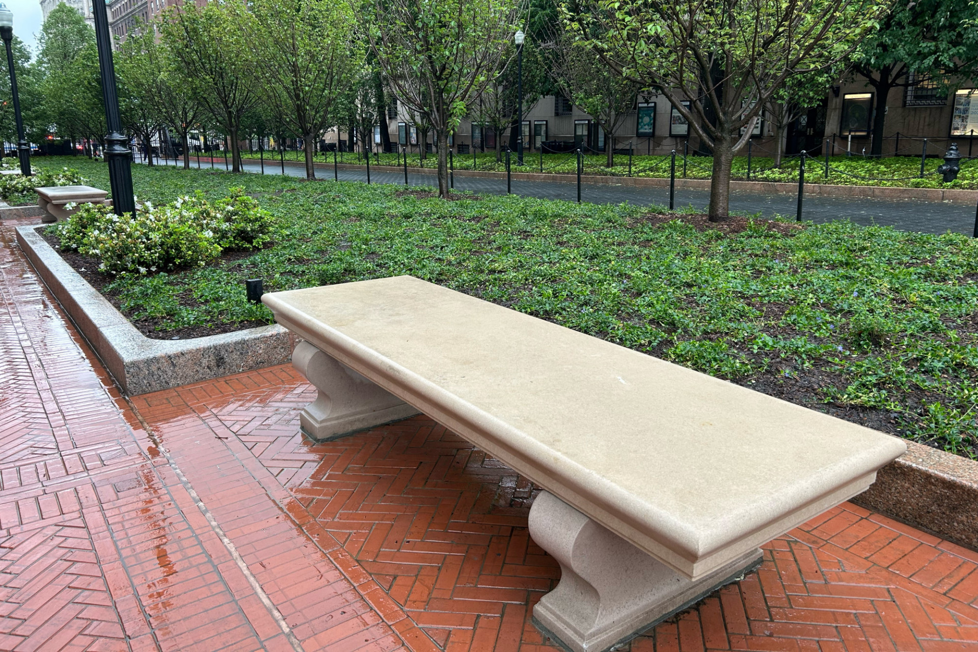 A newly installed bench alongside College Walk near Pulitzer Hall with new plantings alongside.