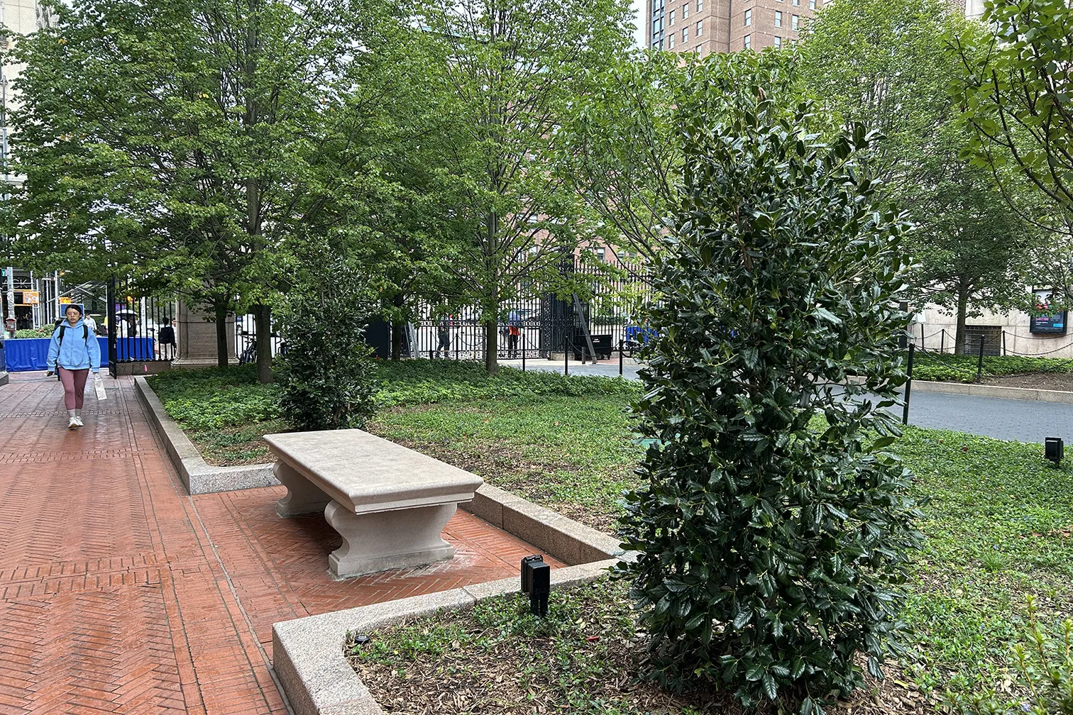 New plantings and benches installed around College Walk, with trees all around it.