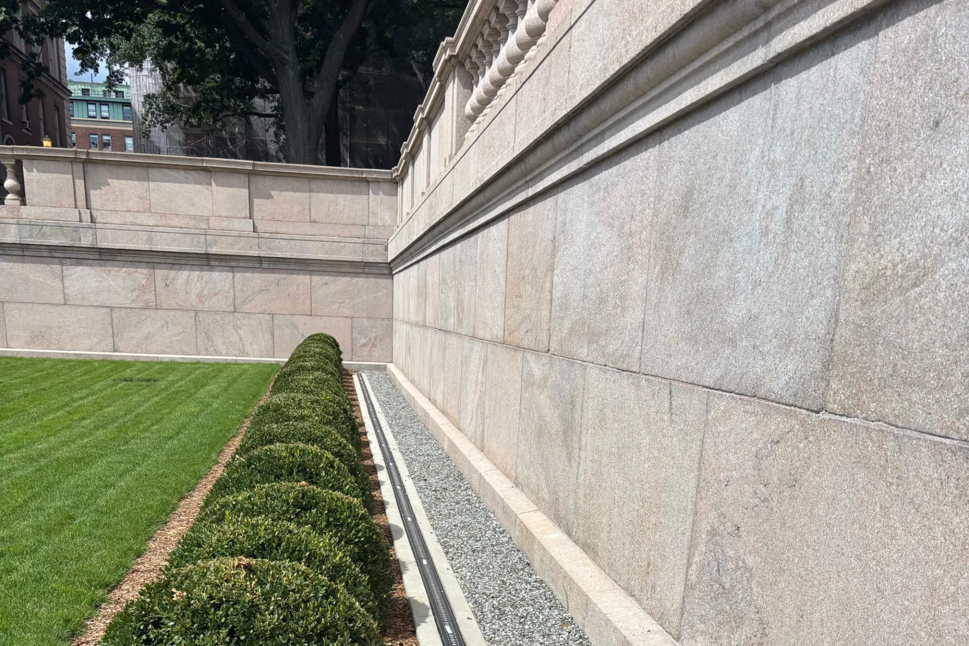 A view of the retaining walls of Low Plaza with new shrubs alongside.