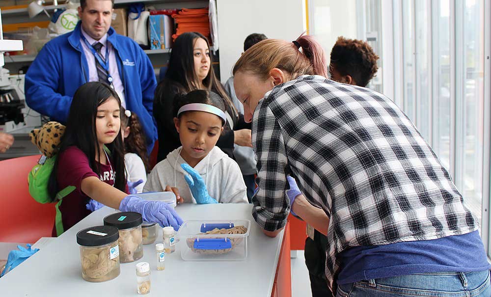 Children asking questions about a brain on display